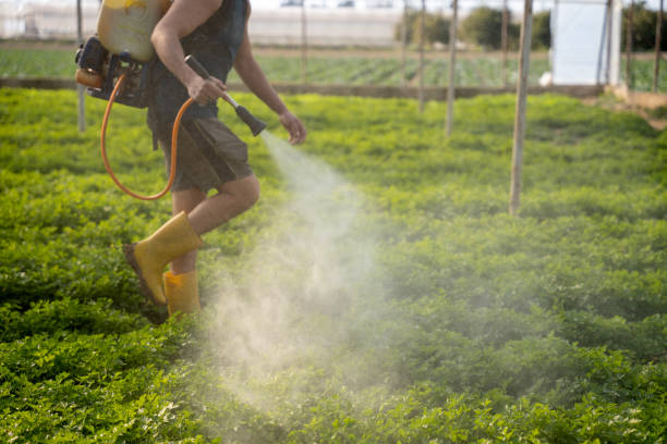 Best Best Pest Control Companies  in Eagan, MN