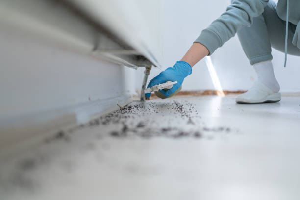 Trusted Eagan, MN Pest Control Experts